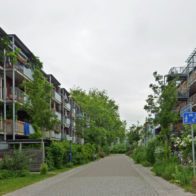 Picture of Sustainability and Adaptation in the Built Environment*